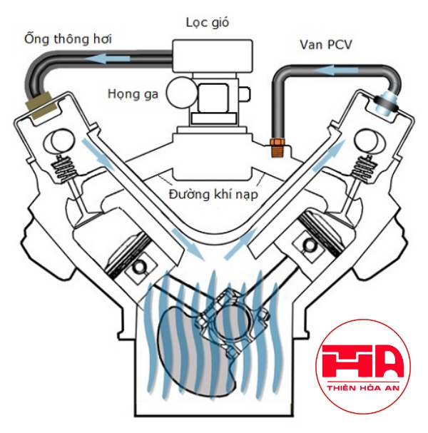 Thông gió hộp trục khuỷu