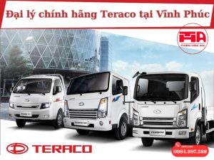 đại lý teraco tại Vĩnh Phúc