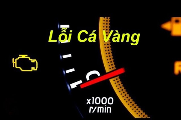 lỗi cá vàng xe ô tô