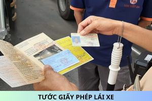tước giấy phép lái xe là gì?